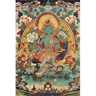 Tara Verte – Protection et Compassion Active