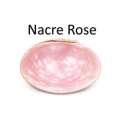 Nacre Rose