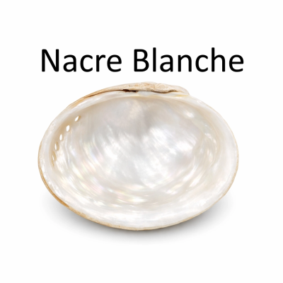 Nacre Blanche