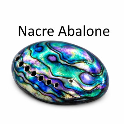 Nacre Abalone
